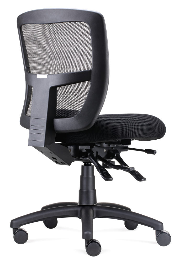 Ergo Task Chair