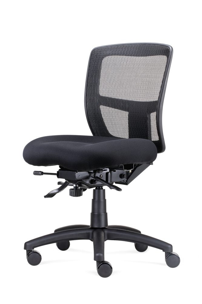 Ergo Task Chair