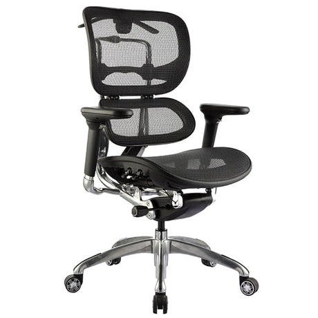 ergo mesh executive chair