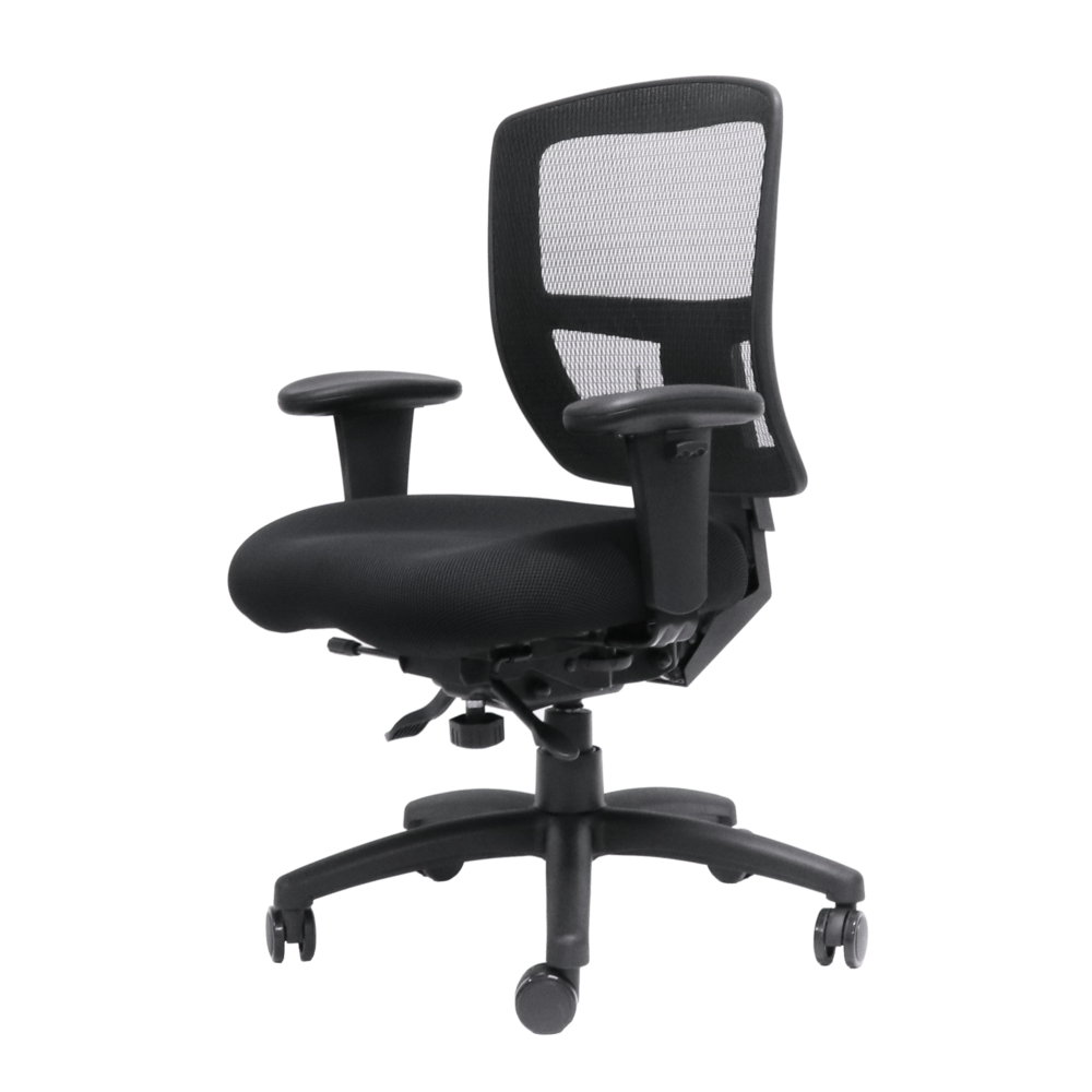 Ergo Task Chair