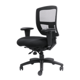 Ergo Task Chair