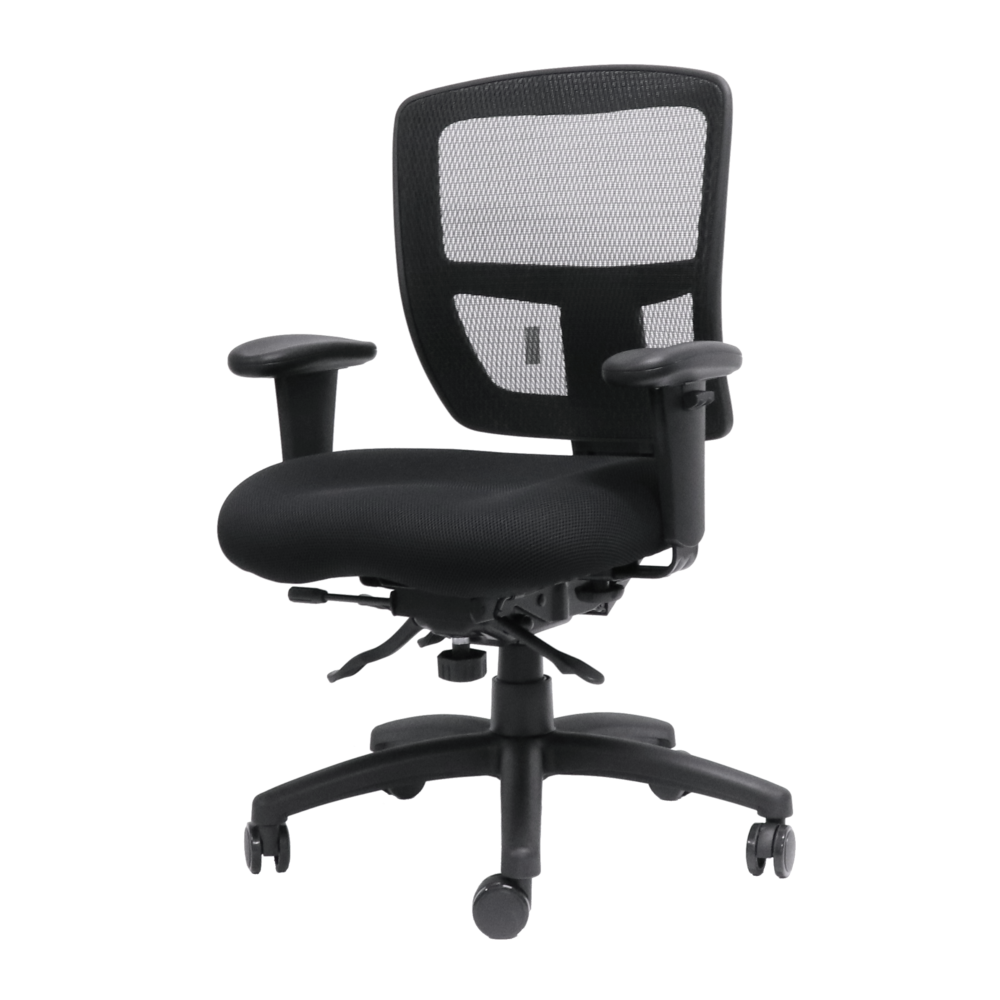 Ergo Task Chair