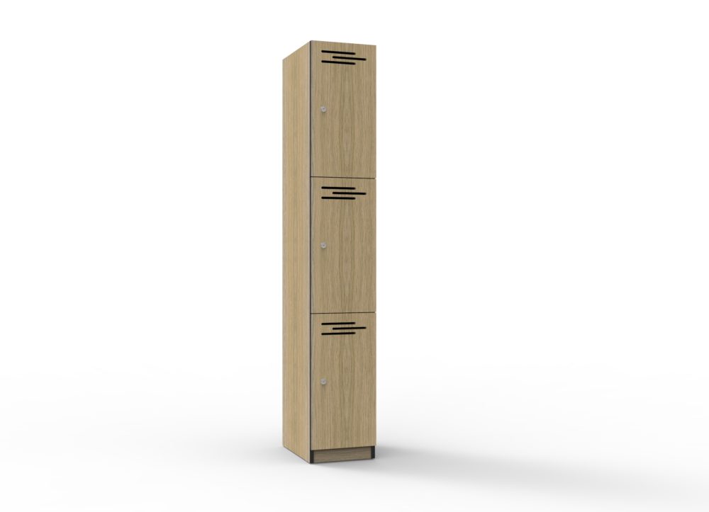 storage cabinet and locker