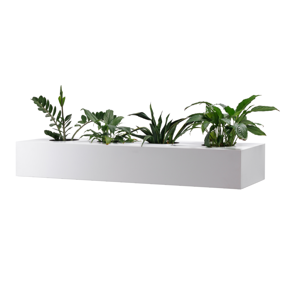 GO Planter Box