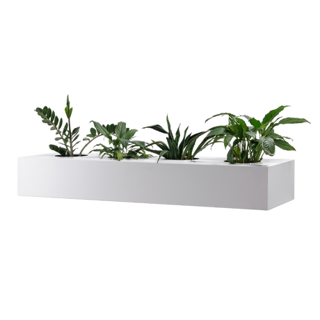 GO Planter Box