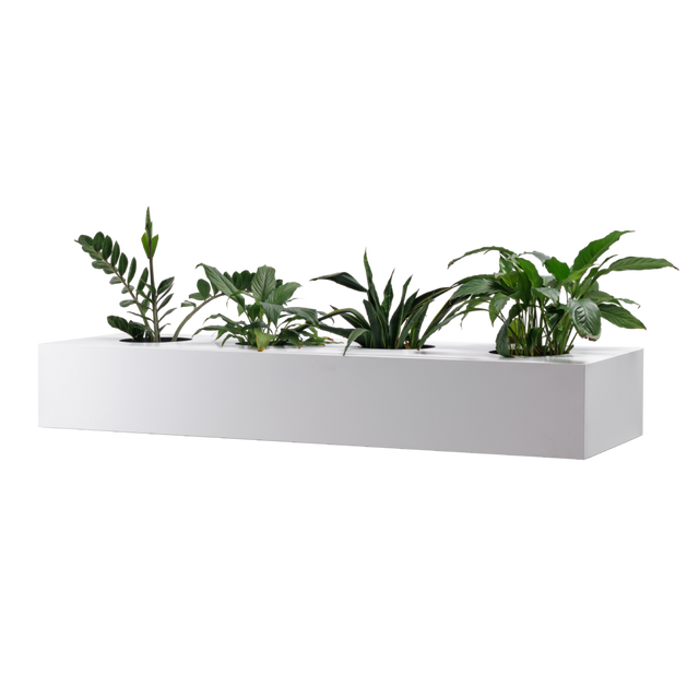 GO Planter Box